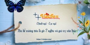 Bãi bể nương dâu là gì?