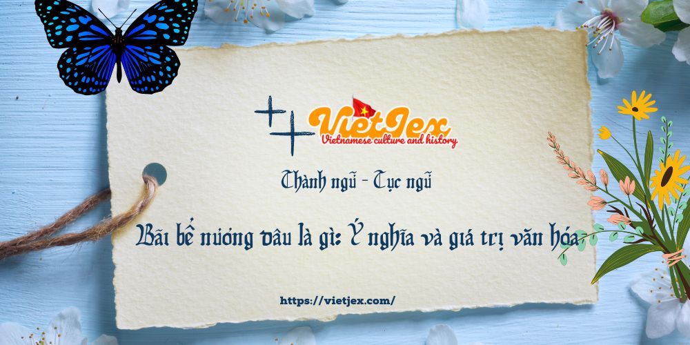 Bãi bể nương dâu là gì?