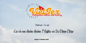 Cái tổ con chuồn chuồn