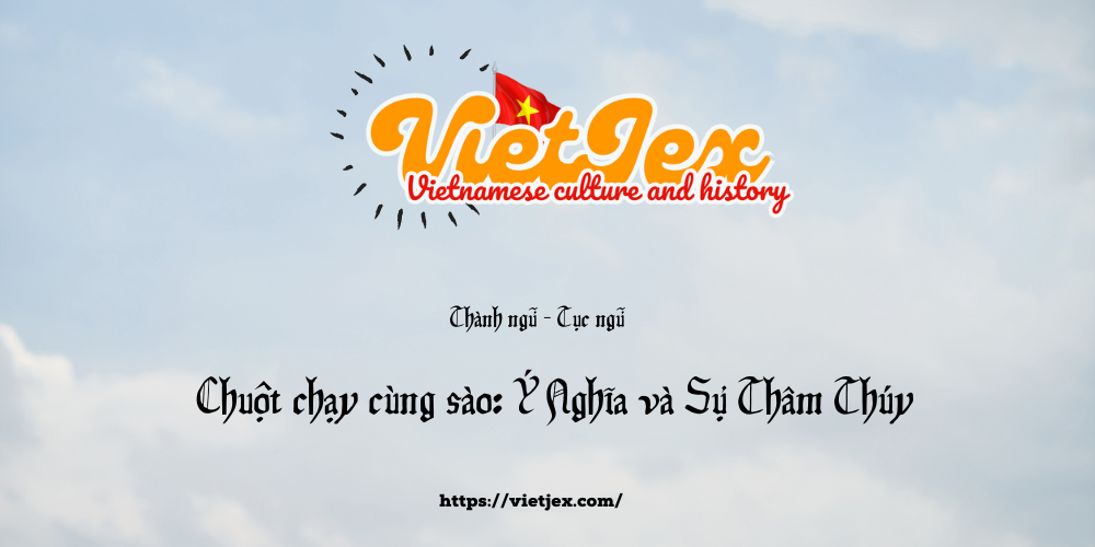 Chuột chạy cùng sào