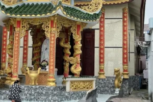 mũ đại gai chuối và chống gậy