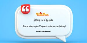 Ván đã đóng thuyền