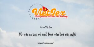 ca dao về sinh hoạt văn hoá văn nghệ