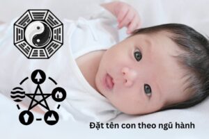 Tại sao khi mới đẻ chưa đặt tên chính