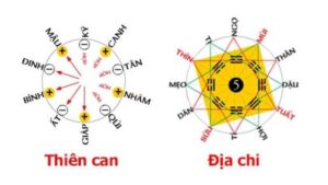 Thiên Can, Địa Chi là gì?