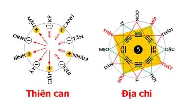 Thiên Can, Địa Chi là gì?
